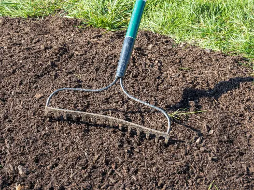 Overseeding