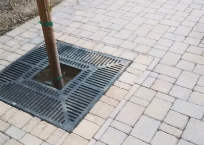 Affordable Landscape Maintenance