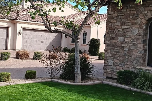 CB Landscaping's other services