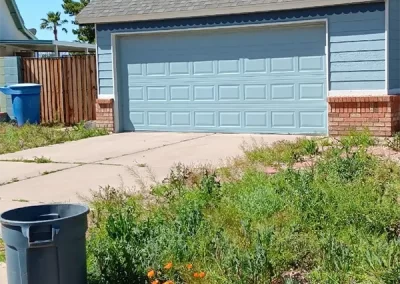 Expert Landscaping Contractor