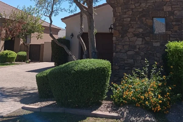 Garden Design