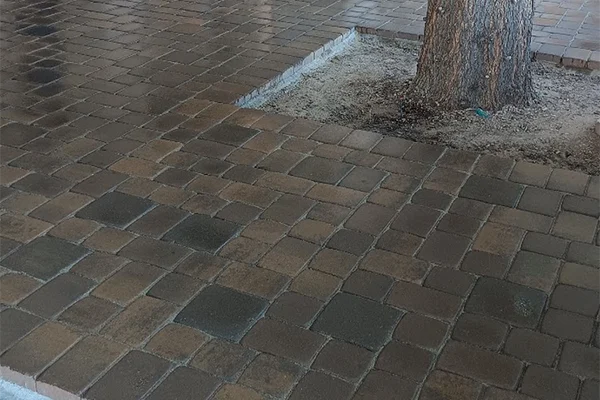 Hardscaping Services