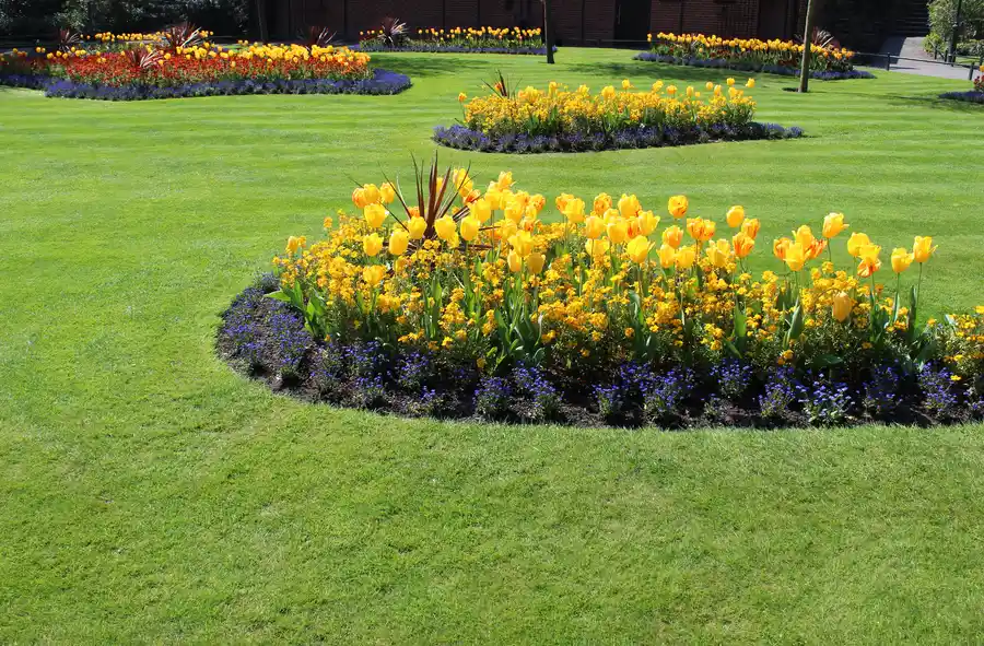 Local Garden Design Phoenix, AZ Local Garden Design Phoenix, AZ