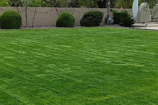 Overseeding