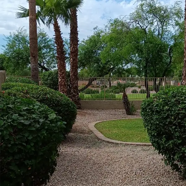 Professional Landscaping Contractor