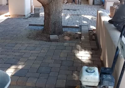 Professional Landscaping Contractor