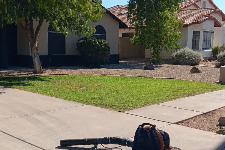 Professional Landscaping Contractor in Phoenix, AZ Professional Landscaping Contractor in Phoenix, AZ