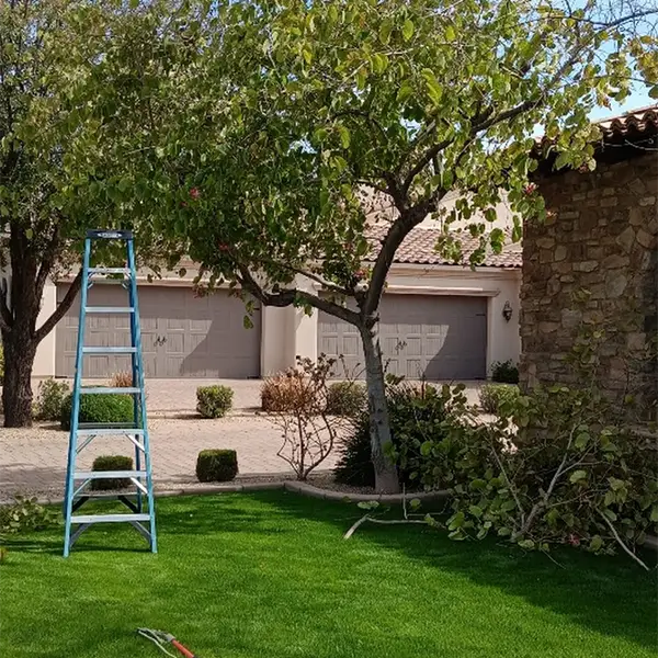 Professional Landscaping Contractor