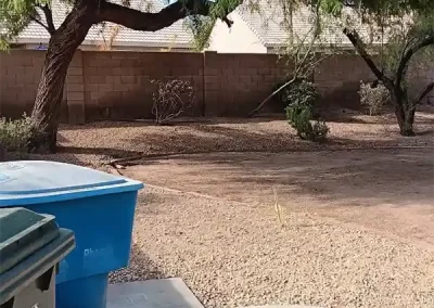 Skilled Landscape Designer