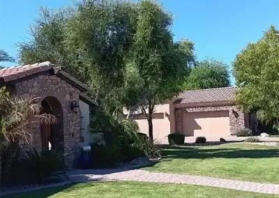 Skilled Landscape Designer