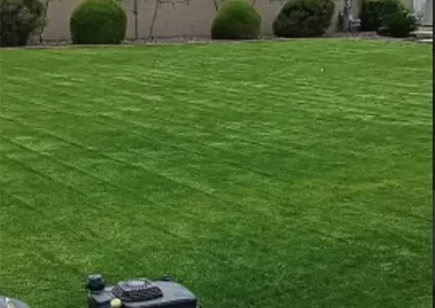 Skilled Landscape Designer