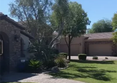 Skilled Landscape Designer