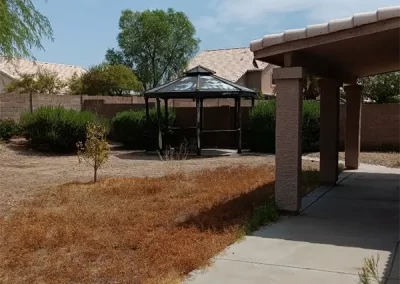 Skilled Landscape Designer