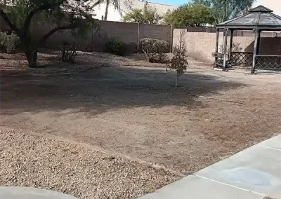 Skilled Landscape Designer