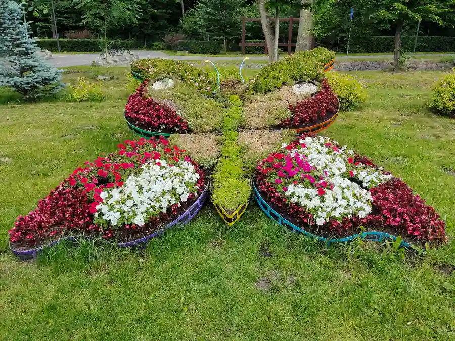 The Benefits Of Hiring A Professional Landscaper in Phoenix, AZ The Benefits Of Hiring A Professional Landscaper in Phoenix, AZ